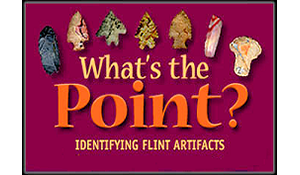 What's the Point? database graphic